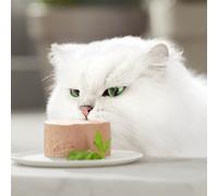 Nuem-Purina Gold 12 Paquets De 185 G Boîtes De Pâtée Pour Chats-Nourriture Humide Pour Chats-Différentes Variétés
