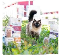 Nuem-Venandi Animal Pâtée Premium Pour Chats, Sachet De Dégustation, Poulet, Dinde, B?uf, 6 X 400 G (Lot De 6), Sans Céréales Et À L¿État Naturel
