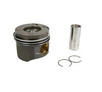 Piston NÜRAL 87-428700-00
