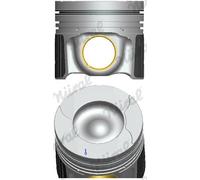 Piston Nüral 87-452907-00