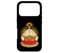 Nuestra Señora de Juquila Santa Catarina Juquila Oaxaca, Méx Coque pour iPhone 17 Pro