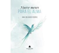 Nueve meses para el alma
