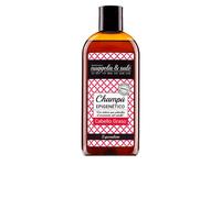 Nuggela & Sulã© Epigenetico Shampoing Pour Cheveux Gras 250ml
