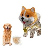 Nuhjytgf Porte-Clés Poils d'animaux | Pendentif commémoratif Mignon et Transparent | Porte-Clés Rangement pour Poils Canins | pour Pochette Sac À Main Tote Sac À Dos Voyage Et Vacances Déplacements