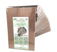 NUISIPRO - Plaques de Glu Anti-Rats et Anti-Souris - Lot de 48 Pièges en Bois Haut de Gamme - Format XXL 28 × 12 cm