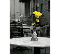 NUISX Kit de Broderie Point de Croix Paysage Noir et Blanc Adulte, Diy, Compté, Imprimé, Enfant, Débutant, Anglaise, Easy Set, Loisirs Créa, Non Pliant