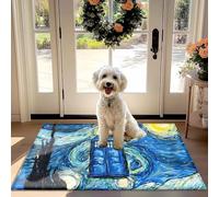 Nuit étoilée de Doctor Who Tardis Porte Tapis - antidérapant Tapis Absorbant pour la Porte d'entrée, Couloir, Cuisine