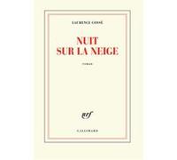 Nuit sur la neige