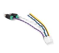 NuIth Prise de faisceau d'alimentation 10 broches pour Pioneer TS-WX1210A TS-WX1010A TS-WX300A TS-WX300TA - Câble d'entrée RCA haut niveau pour caisson de basses