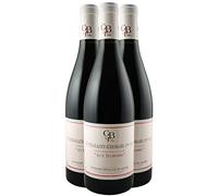 Nuits-Saint-Georges 1er Cru Les Damodes - Rouge 2020 - Domaine Gavignet-Béthanie et Filles - Grand Vin Rouge de Bourgogne (3x75cl)