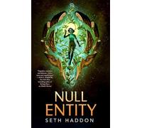 Null Entity