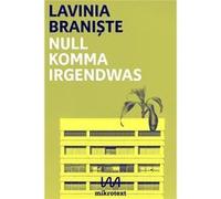Null Komma Irgendwas | Lavinia Branis te Lavinia Branis teLavinia Branis te (Auteur)