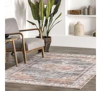 nuLOOM Banks Machine Washable Faded Vintage Area Rug, 4' x 6', Light Grey