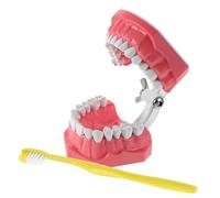 NULYLU 1 Ensemble De Modèles D'Enseignement Oral Modèle De Soins Dentaires Pour Enfants Modèle De Brossage De Maternelle Grand Modèle Éducatif Modèle De Bouche Modèle
