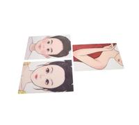 NULYLU 3pièces Tableaux De Pratique De Maquillage Réutilisables Et Lavables Pour Peinture Modèles Réalistes Pour Artistes Et Débutants Parfait Pour Événements Et Célébrations
