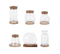 NULYLU 6 Pièces Station de Propagation de Plantes en Verre, Bol Clair avec | Bureau et Table, Observation des Racines, Nettoyage Facile, Structure Stable