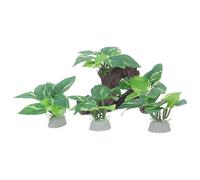 NULYLU Décor en Bois Flotté Artificiel pour Aquarium 4pcs, Grotte Résistante la Décomposition en Plastique, pour Crevettes et Poissons Rouges Aquarium ou Bocal