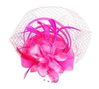 NULYLU Fascinator Plume Et Voilette Pour Mariage Accessoire Élégant Pour Tea Party Et Événements Spéciaux