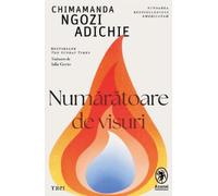 Numaratoare de visuri - Chimamanda Ngozi Adichie, Anansi, Editie in limba romana