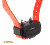 NUM'AXES - Collier de dressage supplémentaire Canicom avec sangle orange