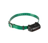 NUMAXES Collier supplémentaire CANICOM 5 - Sangle verte foncée