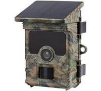 NUM'AXES - Piège Photographique PIE1060 avec Wi-FI et Panneau Solaire intégré VERT KAKI G