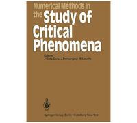 Numerical Methods In The Study Of Critical Phenomena