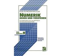 Numerik Sehen Und Verstehen