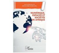 Numérique, Espaces Et Sociétés En Afrique