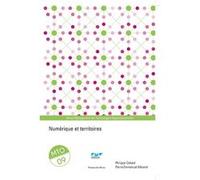 Numérique et territoires Philippe Cohard (Auteur), Pierre-Emmanuel Merand (Auteur)