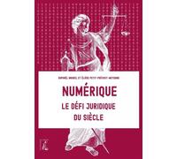 Numérique : le défi juridique du siècle - Raphaël Maurel - Atelier Ed De L' - broché - Guide