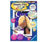 Numero dart - mini format - Cheval de nuit - Ravensburger - Kit complet de Peinture au numero - Des 7 ans G