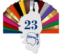 Numéro De Maison Corse Personnalisable - Plaque De Numéro De Rue Forme Corsica PVC Extérieur - Numéro Gravé - 20 x 10 cm (Blanc texte Bleu)