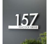 Numéro de rue personnalisé pour maison, plaque d'adresse personnalisée, panneau horizontal décoratif en bois de roche pour boîte aux lettres, plaque de numéros de maison (blanc, 22 x 10 cm)