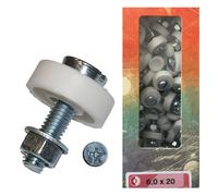 Nummernschildschrauben-Set M6 x 20 100 Stck