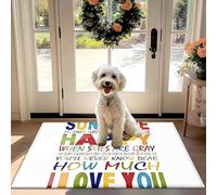 Nunubee Anti-Slip Absorbant paillasson Coloré Modèle de Texte - Soleil, Mon Seul Soleil Citation d'amour pour la Porte d'entrée, la Cuisine, Le Couloir