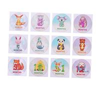 NUOBESTY 1 Ensemble Autocollants Mensuels pour Accessoires Photo Créatifs pour Capturer pour Réseaux Sociaux et Créer un Album