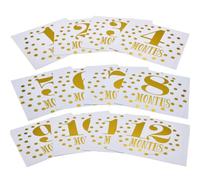 NUOBESTY 12 Pièces Autocollants Mensuels pour Stickers de Jalons pour Filles et Garçons Accessoires Photo pour Nouveaux pour Capturer Moments Spéciaux