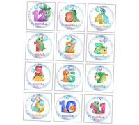 NUOBESTY 12 Pièces Autocollants Stickers de Milestone pour Accessoires Photo Maternité