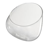 NUOBESTY Bouteille Verre Inclinée pour Micro-Paysage Terrarium Décoratif Multifonction Contenant Écologique pour Mousse et Plantes Accessoire Maison Moderne