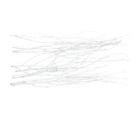 NUOBESTY Brindilles Séchées Décoratives Naturelles 10 Pcs, Petites Branches de Bouleau Blanches 50 CM, Décoration Intérieure pour Vase, Compositions de Fleurs, Ambiance Maison et Bureau,