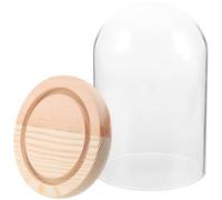 NUOBESTY Cloche en Verre Transparente 8X12 CM avec Base en Bois Naturel Vitrine Décorative pour Fleurs Préservées et Mini Paysages Cloche Dôme pour Exposition et Décoration Intérieure