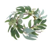 NUOBESTY Couronne de Bougies en Perles D'eucalyptus Artificielles, Petite Guirlande Décorative Verte, Anneau Porte-Bougie Conique pour Décoration Mariage, Centre de Table Romantique, Usage