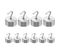 NUOBESTY Ensemble de 10 Poids de Précision 10 G Chromés Boîte et Crochet pour Étalonnage de Balances Électroniques Kit pour Expérimentations en Laboratoire