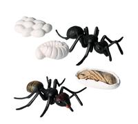 NUOBESTY Ensemble de 5 Modèles de Fourmis Artificielles, Figurines d'animaux de Simulation, Jouet en Plastique pour Enfants, Décoration de Maison/Maternelle, Noir