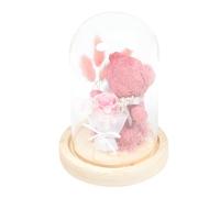 NUOBESTY Fleur D’Ours Décoration Fleur Éternelle sous Cloche en Verre et Bois, Rose, Légère, Journée des Enseignants et Anniversaire, Présent de Saint-Valentin