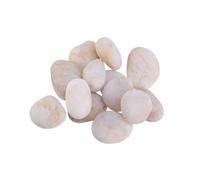 NUOBESTY Galets à Peindre Lisse pour Artisanat Diy pour Dessin et Décoration Parfait pour Garçon Fille et Adultes