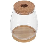 NUOBESTY Lot de 2 Sets de Vases Hydroponiques en Verre Transparent Grand Format avec Bouchon en Liège et Plateau en Bambou, Pots à Plantes pour Propagation et Culture Hydroponique,