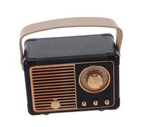 NUOBESTY Mini Retro Speaker Portable with Handle Tiny Wireless Subwoofer for Outdoor Travel Vintage Design Compact Music Player for Hiking and Parties