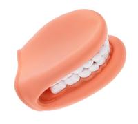 NUOBESTY Modèle de Dents Pédagogique en PVC Réaliste Compact et Portable pour Démonstration D’Enseignement Médical et Apprentissage du Brossage Outil Éducatif pour Étudiants et Garçon